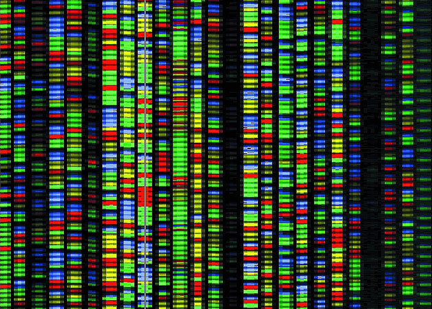 Your DNA is the future of computing: here’s how you can profit