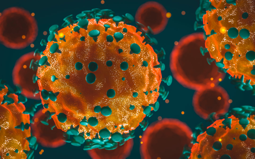How do we stop the coronavirus?